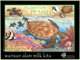 Alto turtle poster